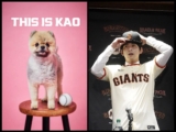 Lee Jung Hoo’s adorable moment with his dog sparks comparisons with Shohei Otani