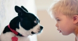 Are kids jealous of pets? Here’s why and how to deal with and fix it