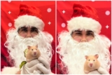 Unexpected guest appears in ad that ‘doesn’t specify’ which pets can meet Santa