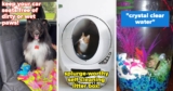 31 products that will make pet parents’ lives easier