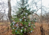 2 mile walk to Secret Pet Memorial Tree