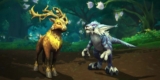 World of Warcraft, new pet’s adorable secret revealed